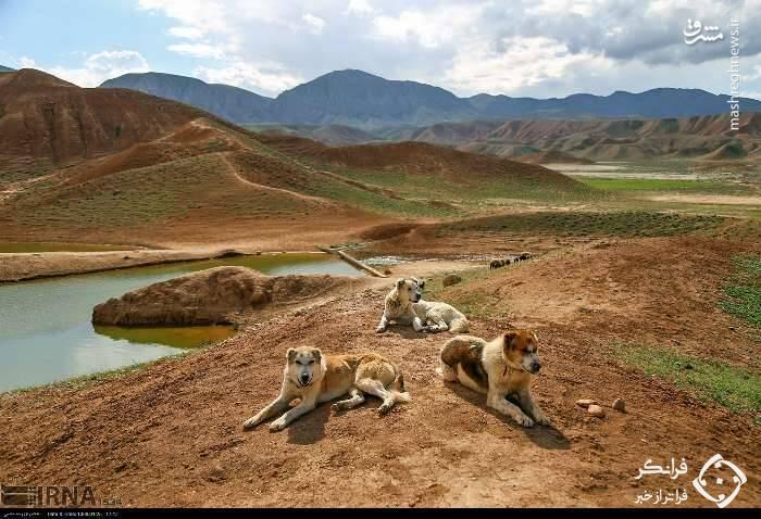 عکس /  میزان آب پشت سد خاکی در خراسان شمالی