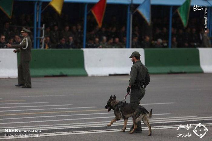 عکس /  سگ های تیم حفاظت روحانی در رژه